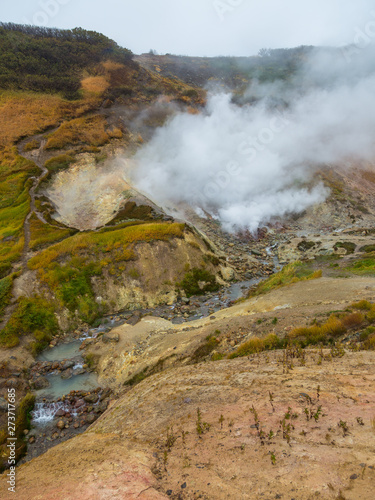 Water vapor over the Valley of Small Geysers. Kamchatka, Russia.
