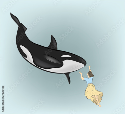 woman under the water touches the killer whale. vector illustration.