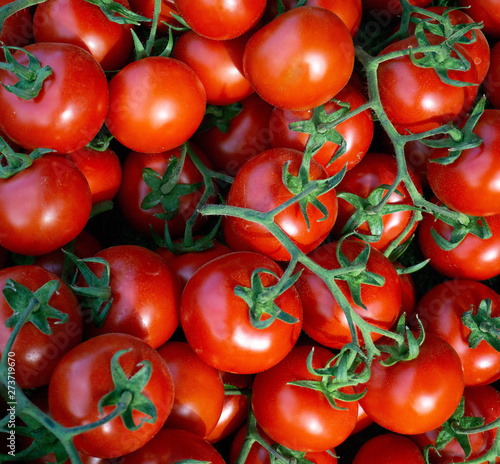 Fresh organic tomatoes at outdoor market. Top view. Close-up