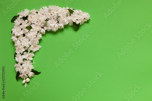 Close up photo of beautiful jasmine flowers frame on green paper background. Wedding, engagement, betrothal and other holiday concept.