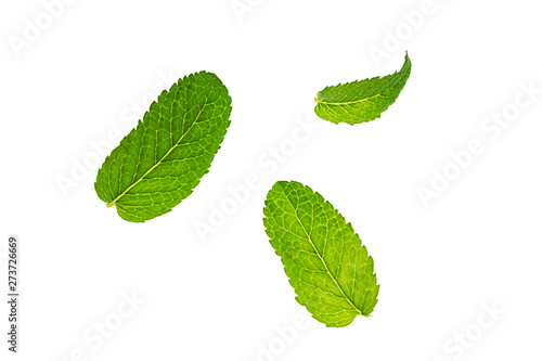 Fresh green mint or mentha leaves pattern isolated on white background. Flat lay, top view. Close up of peppermint. © IrynaV