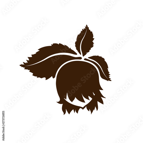 Hazelnut icon isolated. Vector art leaves and fruits