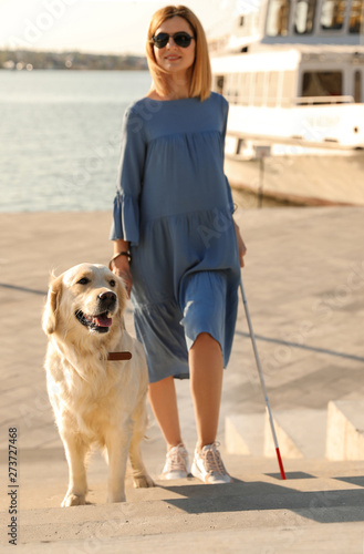 Guide dog helping blind person with long cane going up stairs outdoors