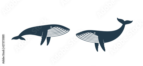 Whale logo. Isolated whale on white background