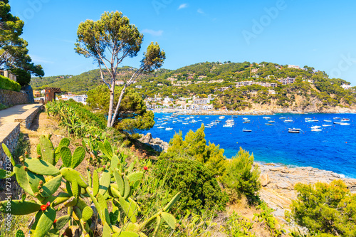 Beautiful bay with boats on sea and view of Llafranc village, Costa Brava, Spain
