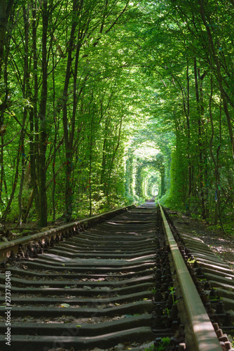 Railway between the trees that create a tunnel of green leaves. Klevan, Ukraine, romantic and mysterious "Tunnel of love". Travel to Ukraine. © Лариса Люндовская