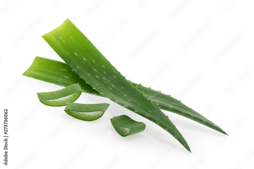 Aloe vera isolated white background