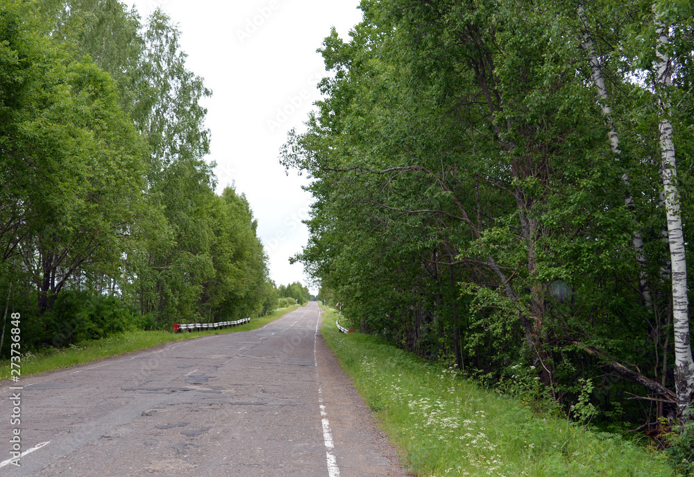 curve road among wild vegetation on a Sunny summer day curve road among wild vegetation on a Sunny summer day