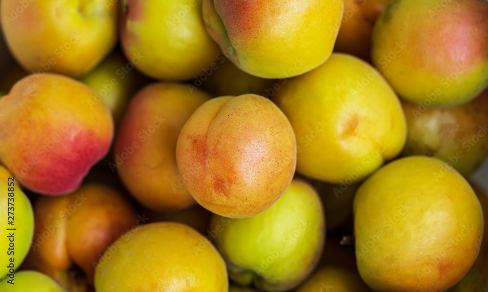 apricots lie in a box, harvesting on the farm apricots lie in a box, harvesting on the farm