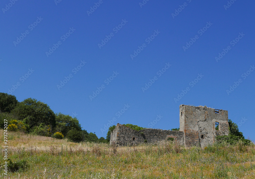 rilassante immagine rurale con rovine sullo sfondo in una assolata giornata estiva