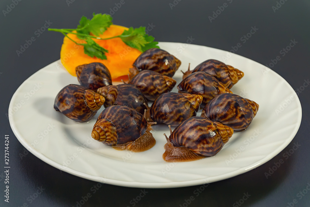 grape snails, akhatina, on a plate, as crude food, a rawism grape snails, akhatina, on a plate, as crude food, a rawism