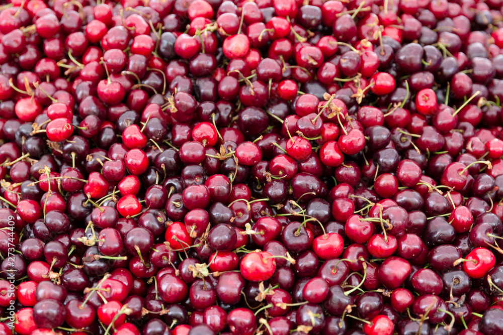 Freshly picked cherries at the farmer's market Freshly picked cherries at the farmer's market