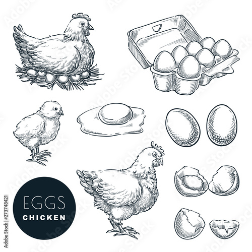 Photographie Chicken farm fresh eggs
