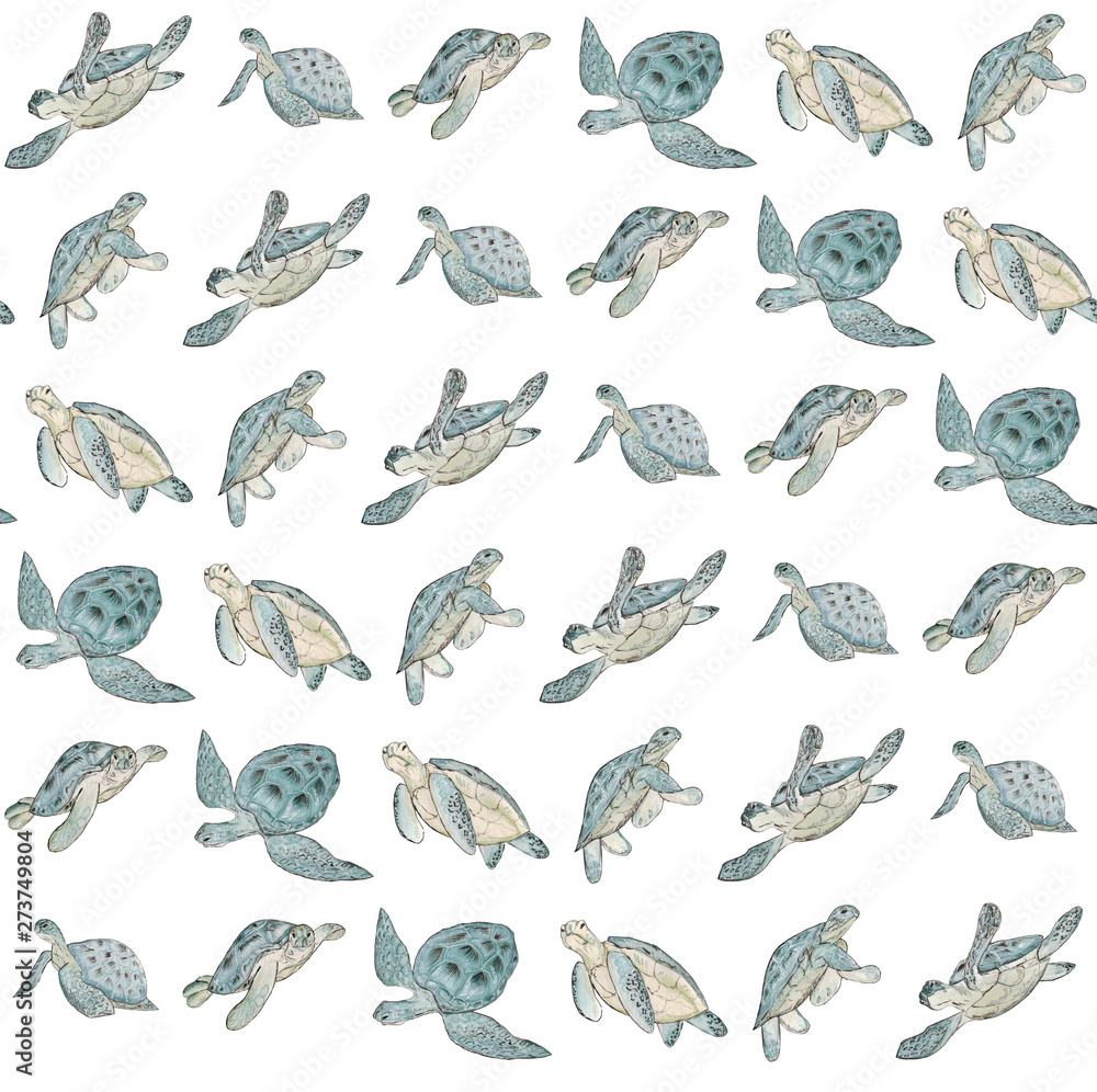 Fototapeta premium Seamless pattern with watercolor sea turtle on white background.Summer exotic print.
