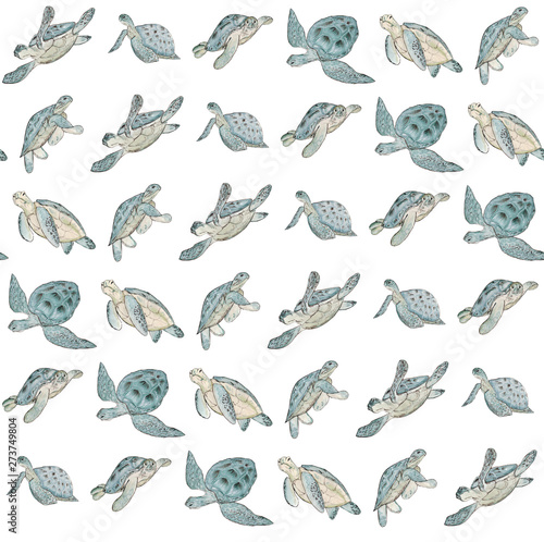 Seamless pattern with watercolor sea turtle on white background.Summer exotic print.