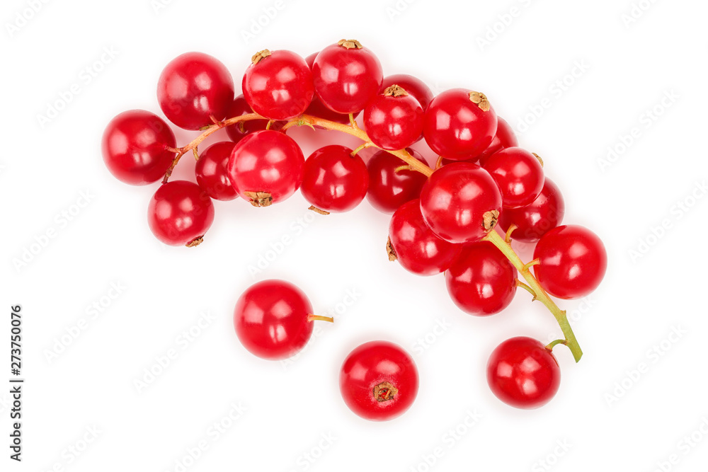 Red currant berry isolated on white background. Top view. Flat lay pattern Red currant berry isolated on white background. Top view. Flat lay pattern