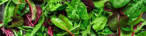 Healthy salad, leaves mix salad (mix micro greens, juicy snack, tomato). food background - Image photo