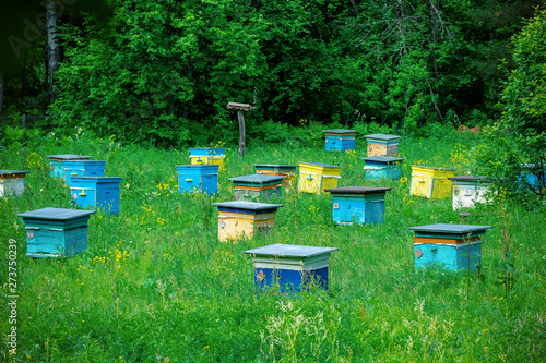 Hives in an apiary in a spring garden. Honey business concept.  Shulgan-Tash Nature Reserve. © Алексей Закиров