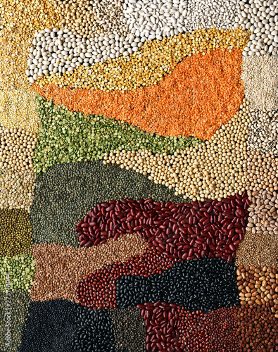 Lentil legumes and beans 