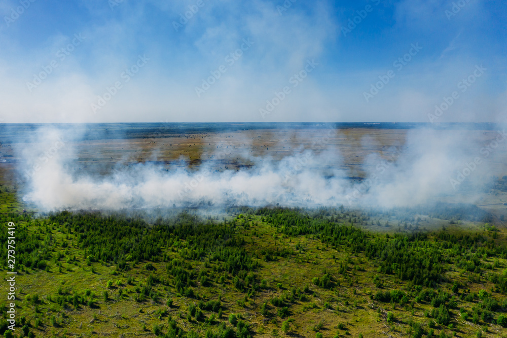 Wild fire in summer field with huge smoke from dry grass, aerial view Wild fire in summer field with huge smoke from dry grass, aerial view