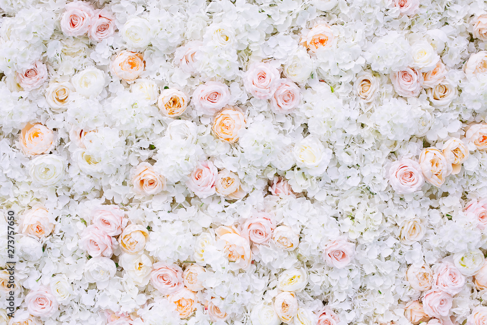 Flowers wall background with white and light orange roses. - obrazy, fototapety, plakaty 