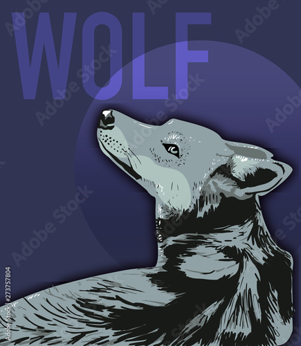 wolf