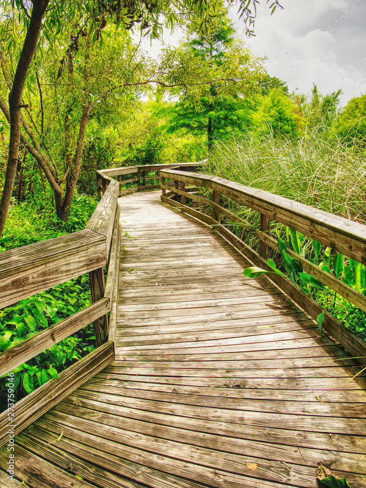 A wooden footpath for walking around the garden. A wooden footpath for walking around the garden.