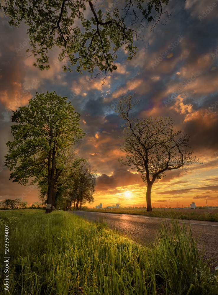Fototapeta premium Sunset