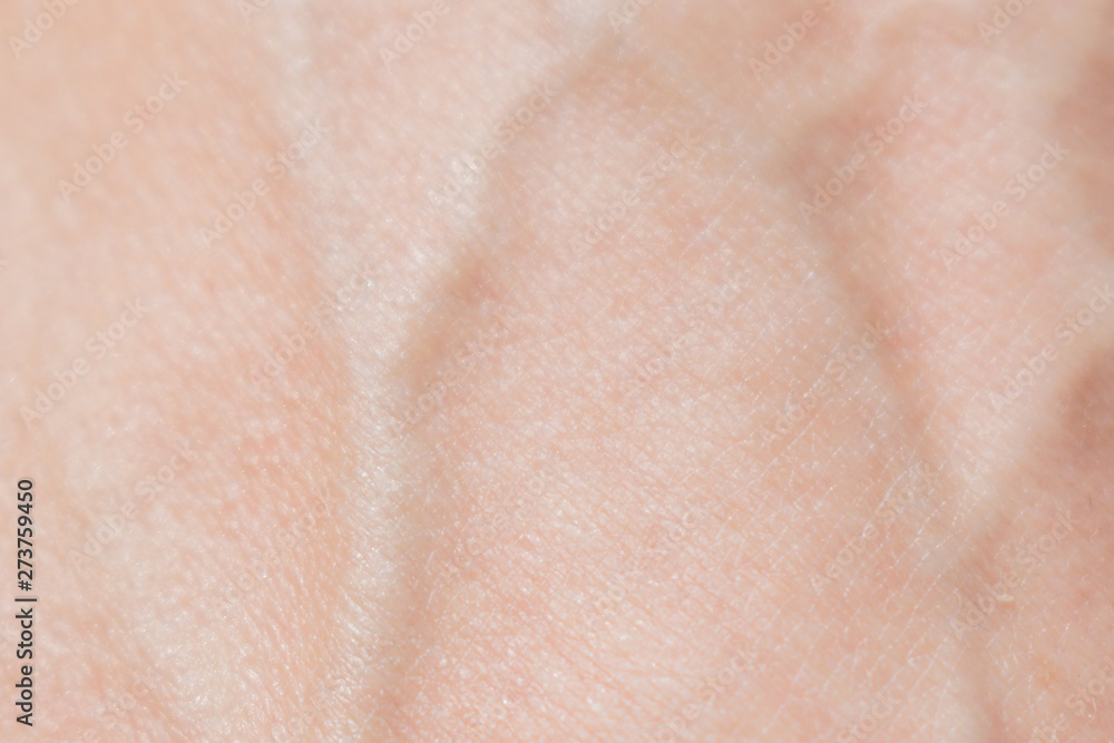 Fototapeta premium A fragment of the human body. Skin and veins