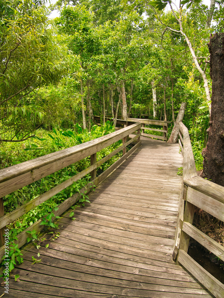 A wooden footpath for walking around the garden A wooden footpath for walking around the garden