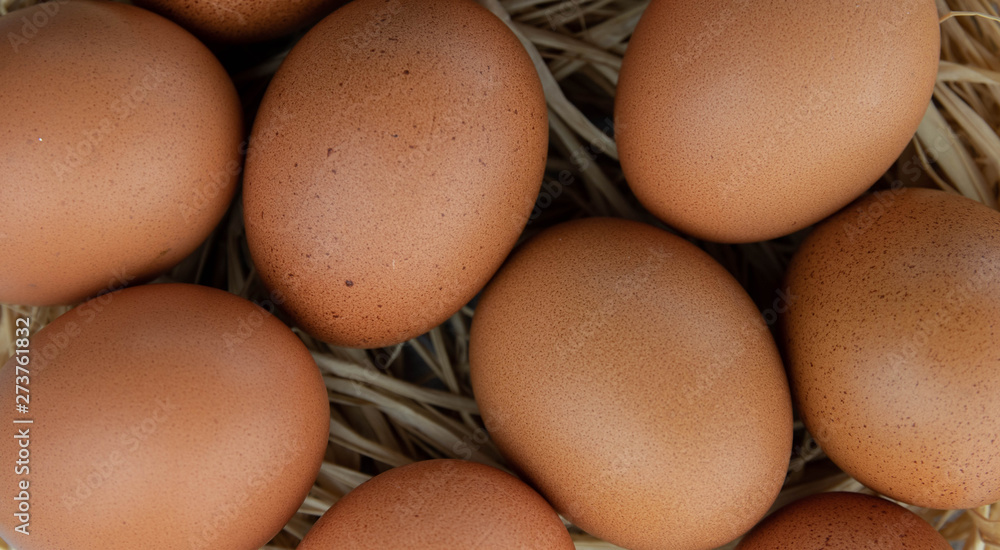 a group of chicken eggs lying in a nest of straw. Top view close-up. Agriculture. a group of chicken eggs lying in a nest of straw. Top view close-up. Agriculture.