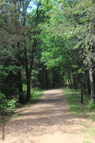 road in the forest