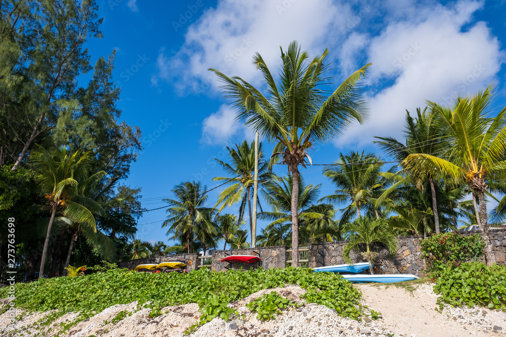 Fototapeta premium Beach, Mauritius