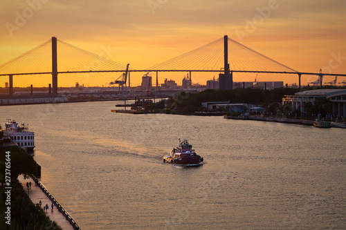 Photography The Sydney Lanier Bridge across the Savannah River