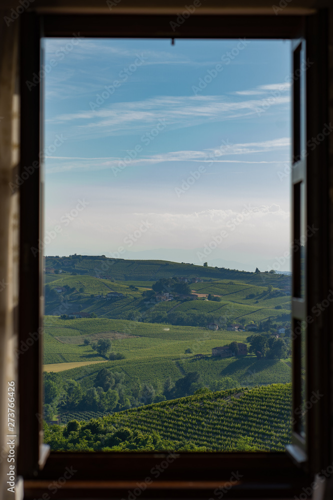 Fototapeta widok przez okno rzędy obszaru winnicy winiarskiej