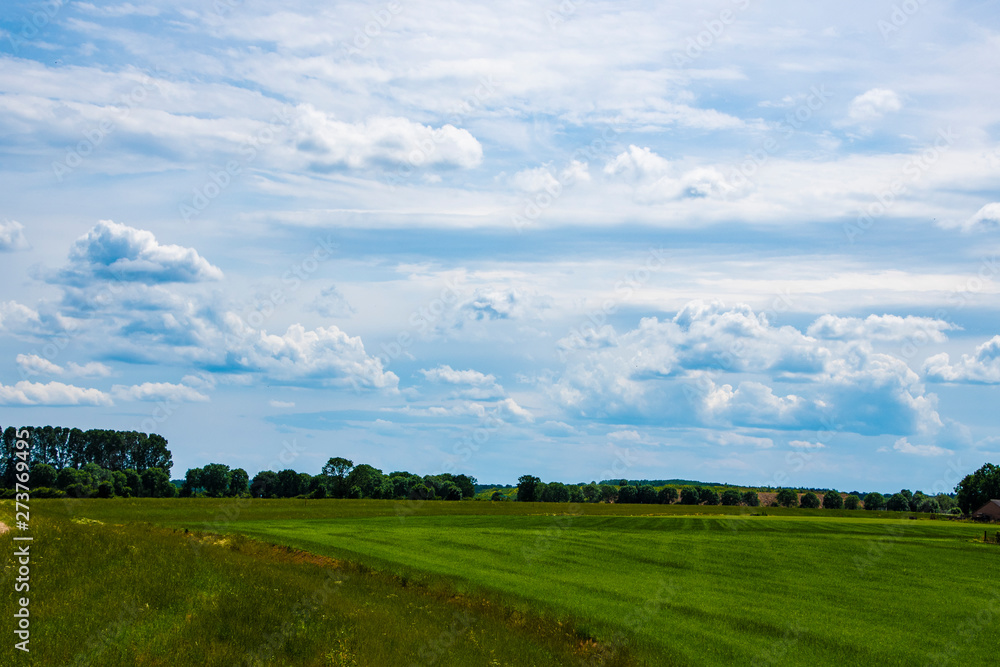 Dutch Summer landscape with green grass and cloudy blue sky