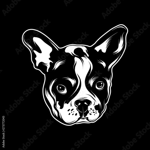 Vector hand drawn illustration of bulldog .