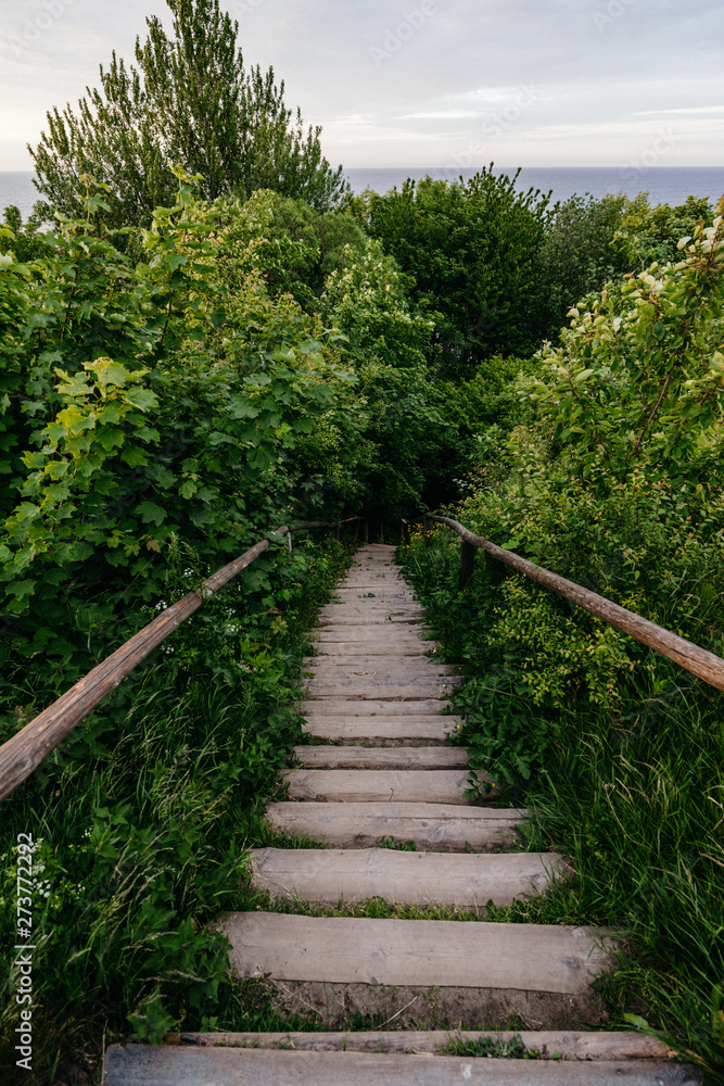Wooden stairs pathway through the forest. Wooden stairs pathway through the forest.