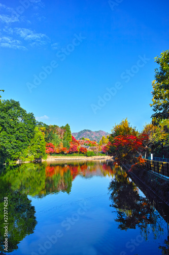 紅葉シーズン京都、嵯峨野の紅葉した小倉池