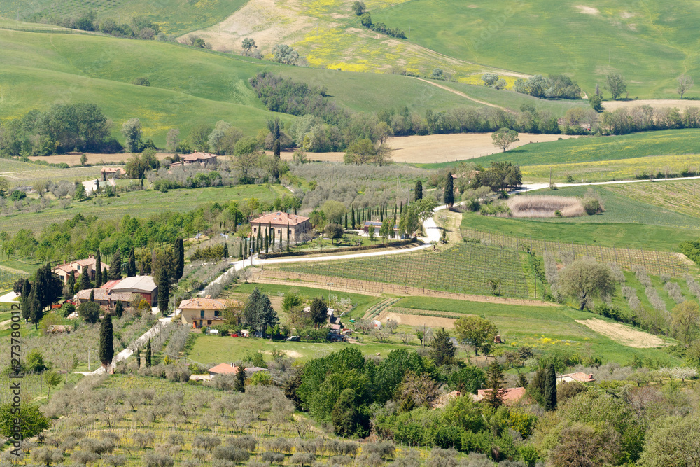 Farm village in Tuscany, Italy with planted fields and olive groves