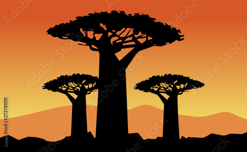 Foto baobab tree on wpap popart style