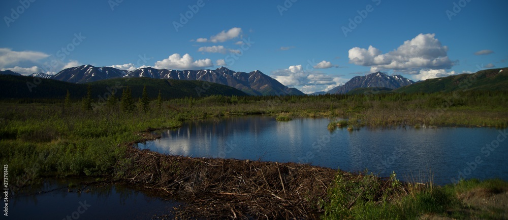 View of Alaska's wilderness: Mountains, River, Beaver Dam, and reflection in pond