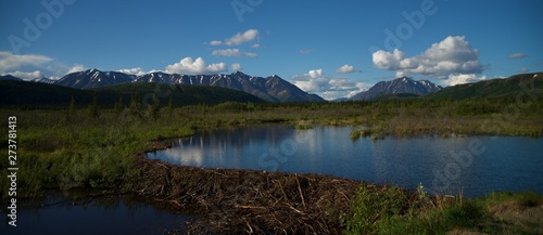 View of Alaska s wilderness  Mountains  River  Beaver Dam  and reflection in pond