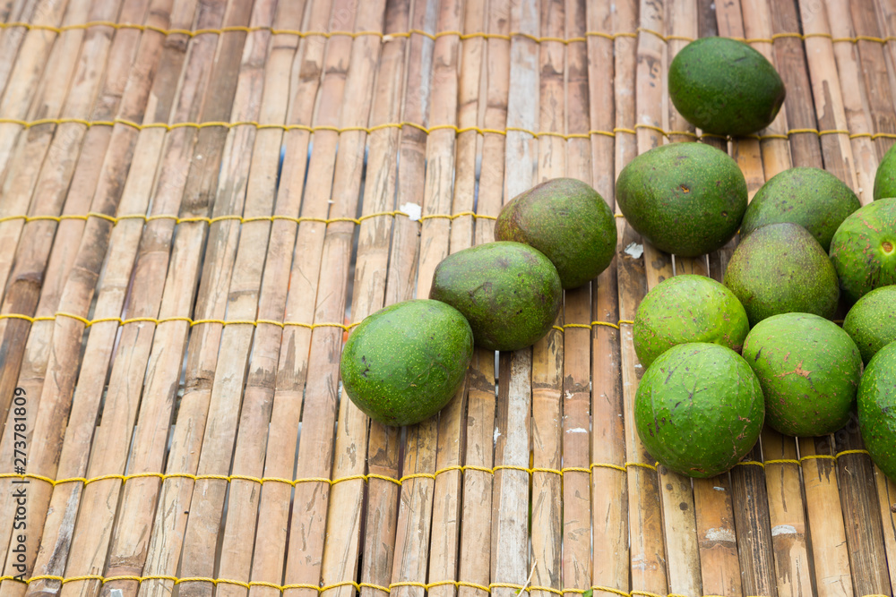 Fresh bunch of green Avocados on wooden net Fresh bunch of green Avocados on wooden net