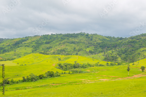 Green Mountains Landscape with Grass
