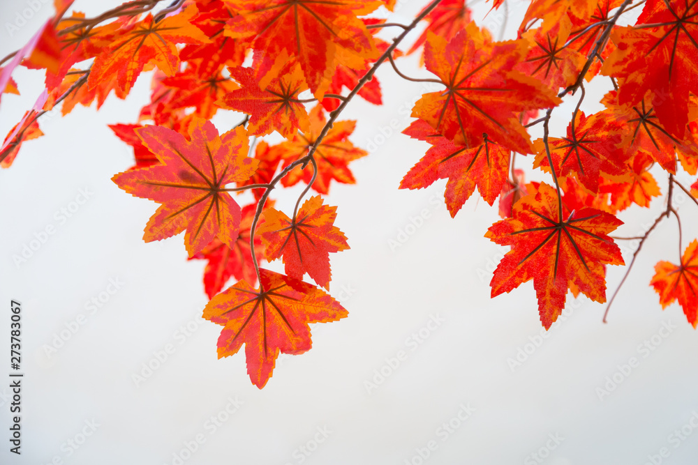 Selective focus of plastic red maple with white background Selective focus of plastic red maple with white background