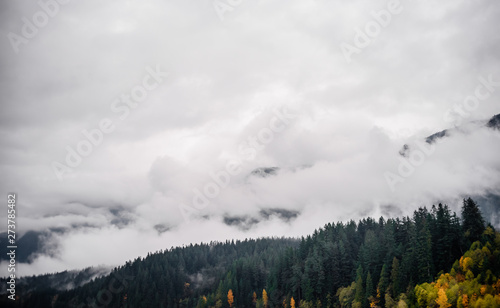 Fog and clouds covering forested mountain slope. photo