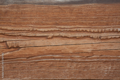 Wooden background, wood texture close-up