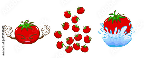 tomato vector graphic design