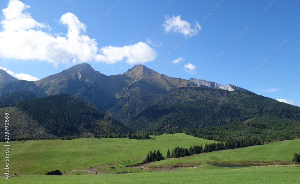 Fototapeta premium mount2